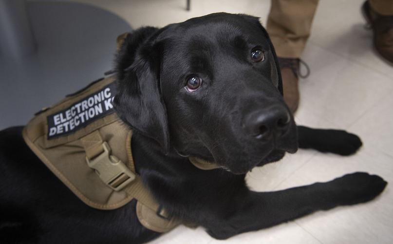 Electronicssniffing K9 joins State's Attorney's Office Cops And