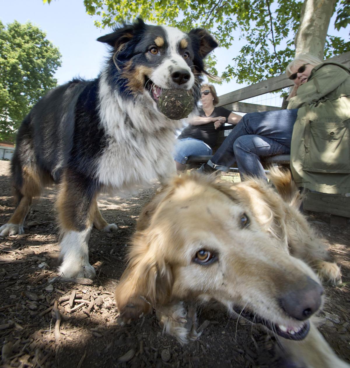 Frederick city's 72 Parks Arts & entertainment