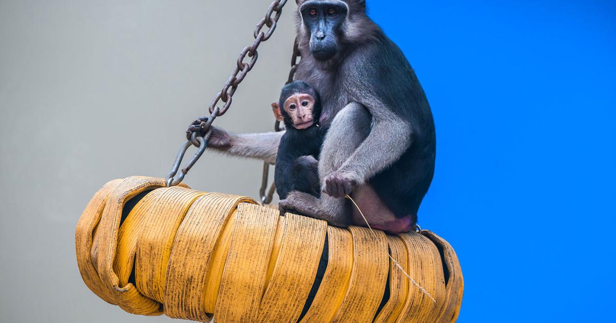 Embracing Mom
