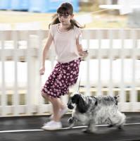Kids and canines compete for best at the fair show