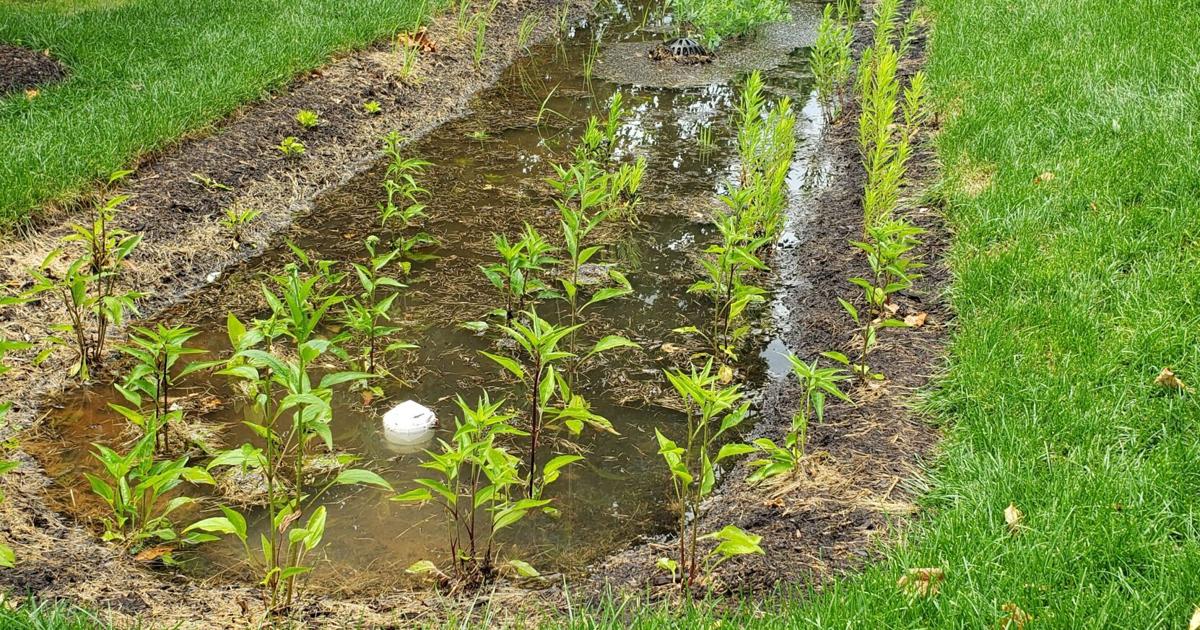 Gardening and treasured landscapes | Home And Garden Gardening and treasured landscapes | Home And Garden
