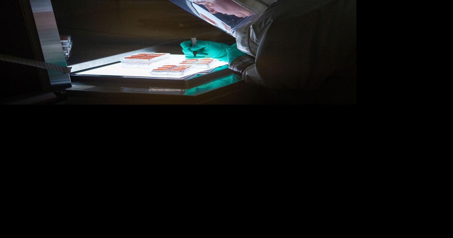 HHS stops work at Fort Detrick lab that studies infectious diseases ...