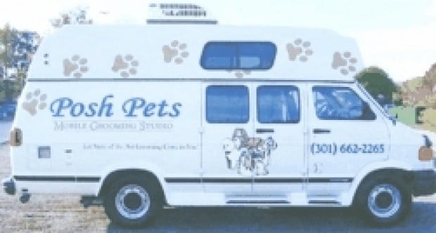 Cat Grooming Purrfect Paws Mobile Grooming Spa Paws Grooming