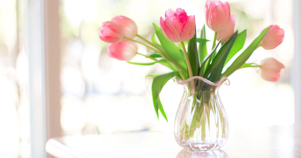 The language of flowers | Home And Garden The language of flowers | Home And Garden