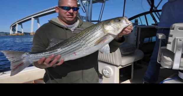 Sandy Point & the Bay Bridge | Maryland | fredericknewspost.com