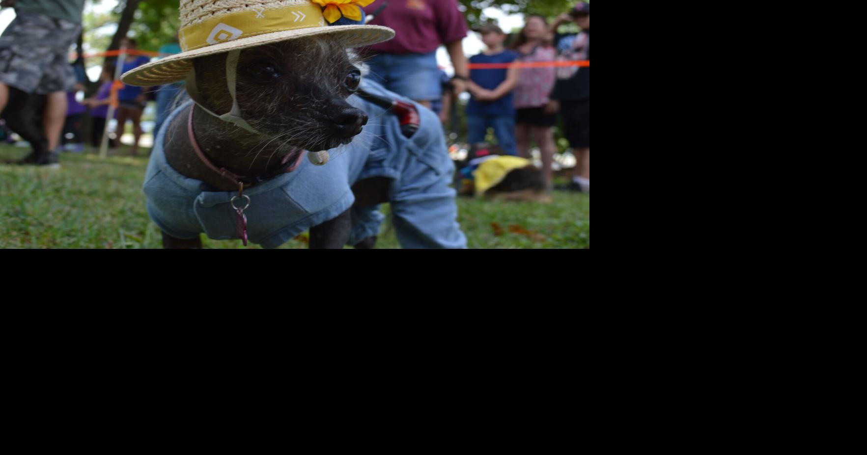Thurmont, Emmitsburg come together for 66th annual Community Show