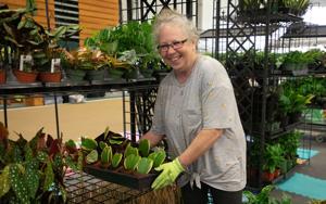 Huge two-day Flower and Garden Show will provide inspiration to start planning and planting