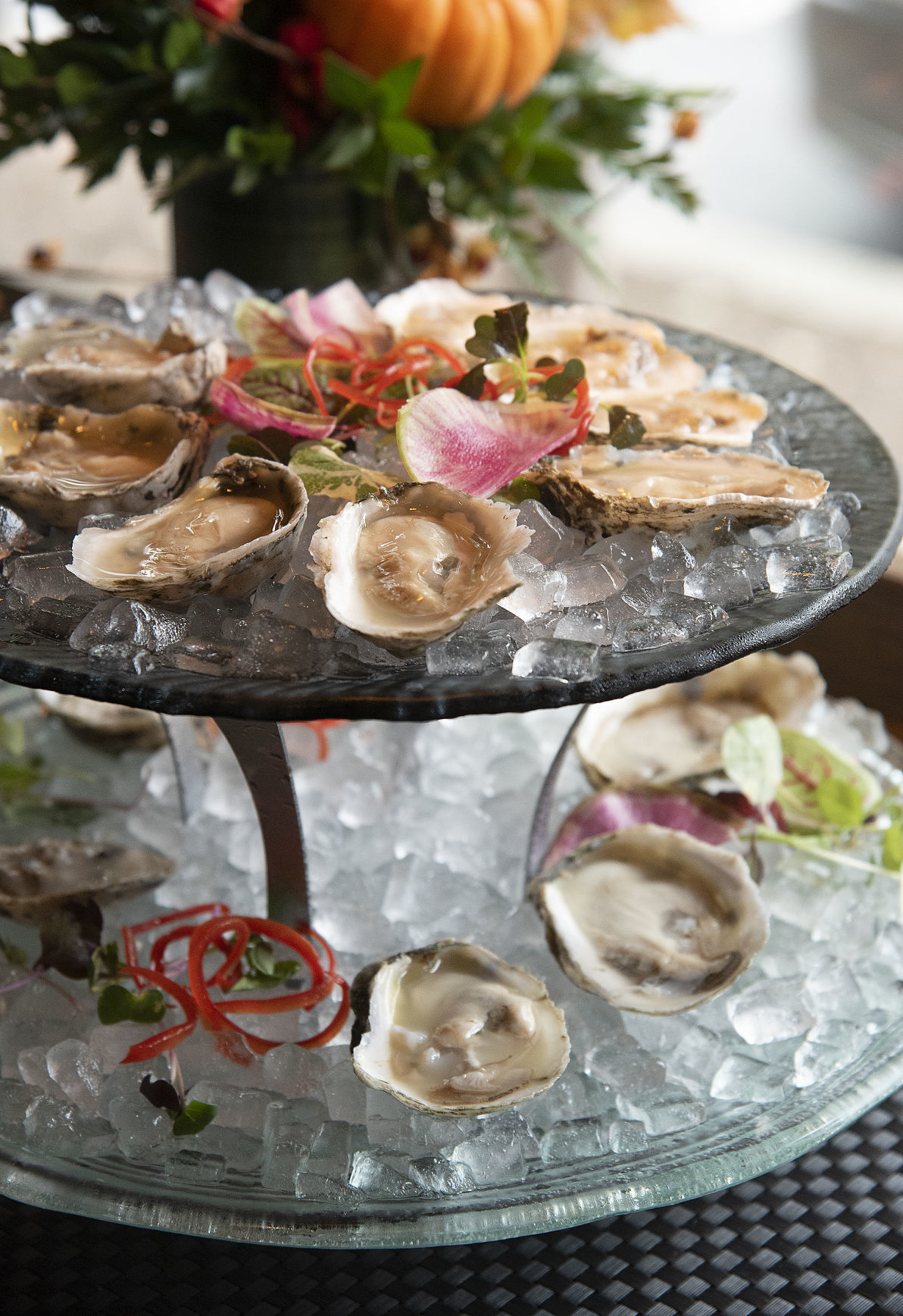 Restaurants To Again Showcase Their Shucked Specialties At