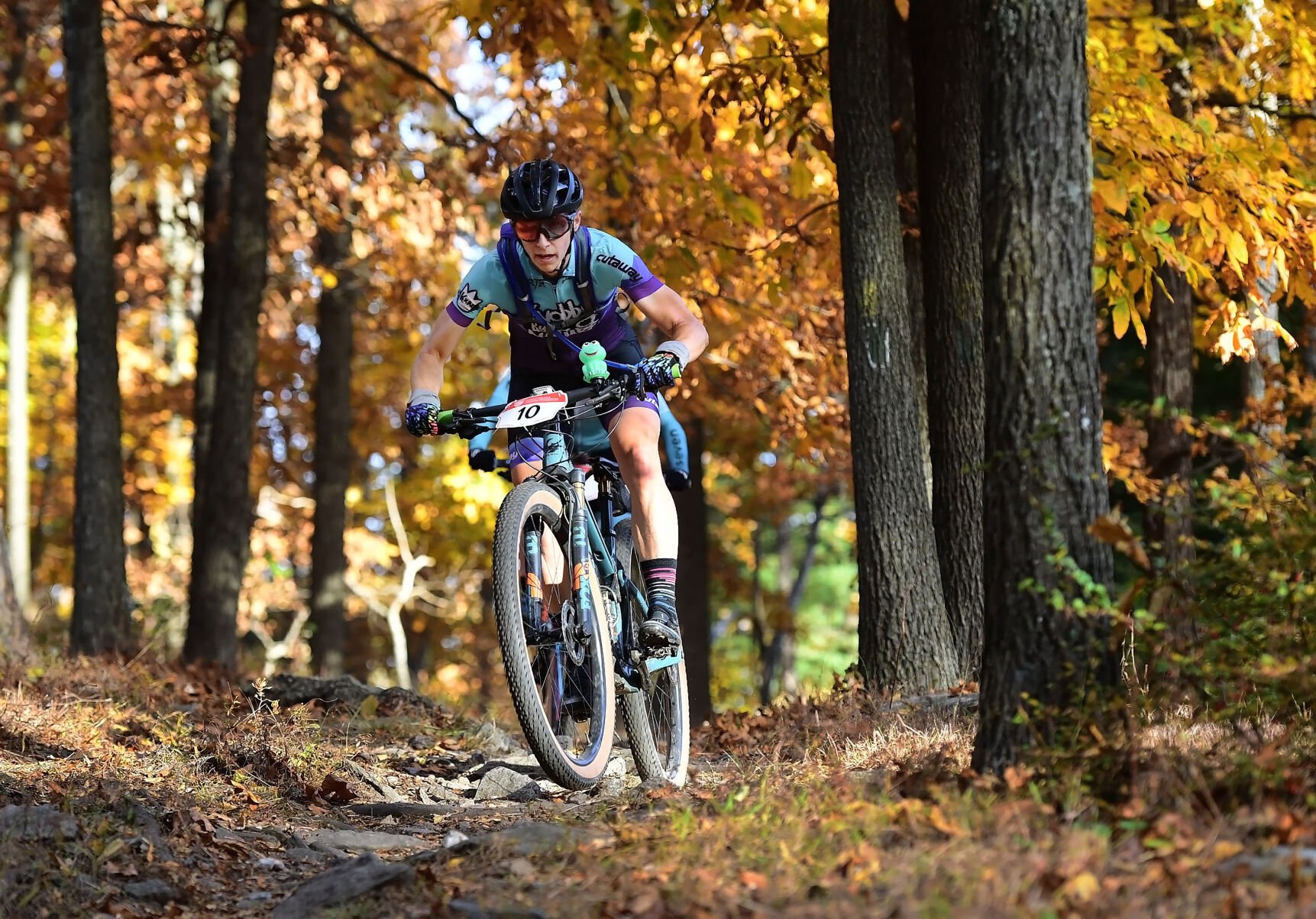 Gambrill state park online mountain biking