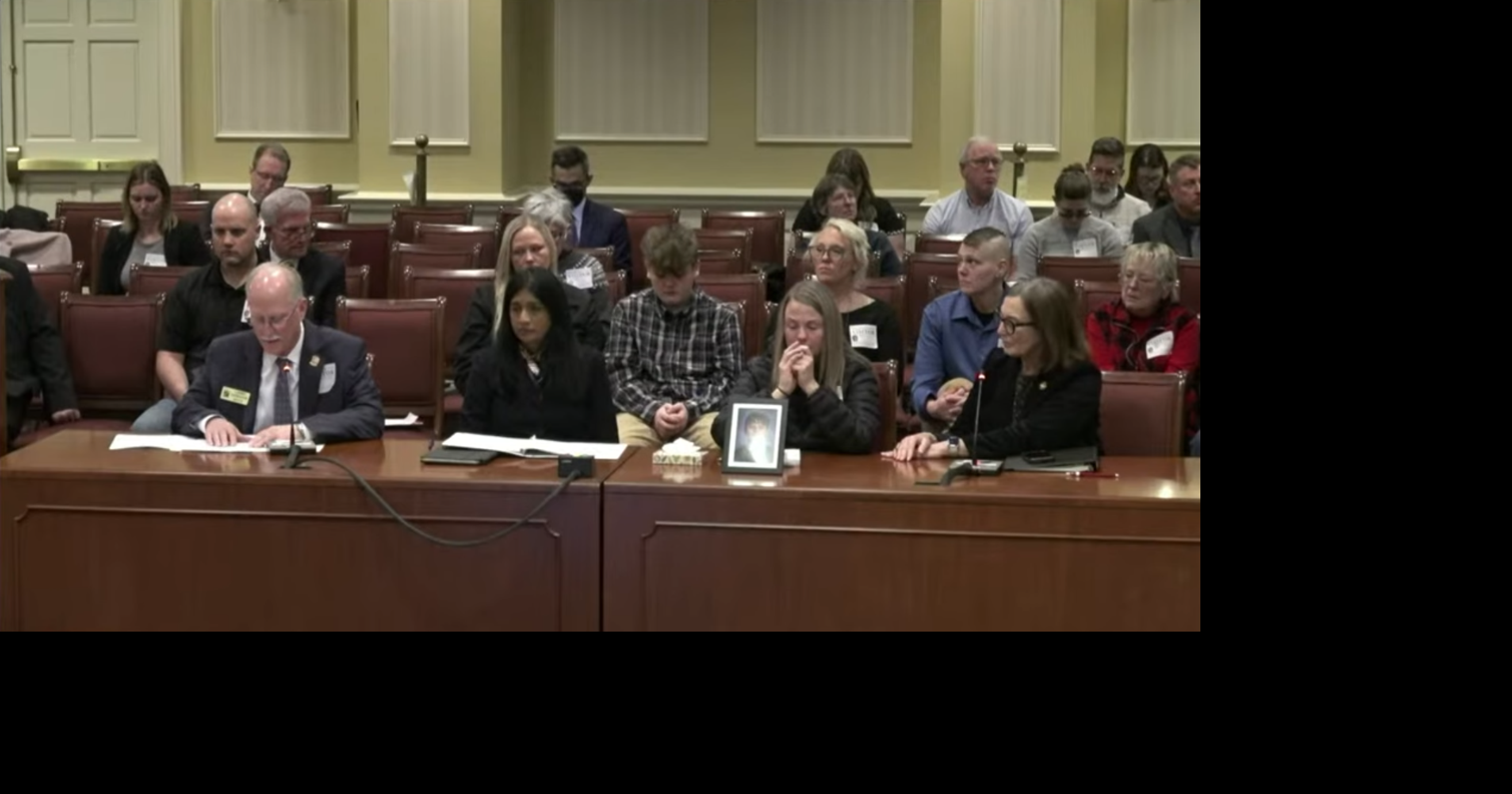 Family, local leaders testify in favor of storm drain safety bill in ...