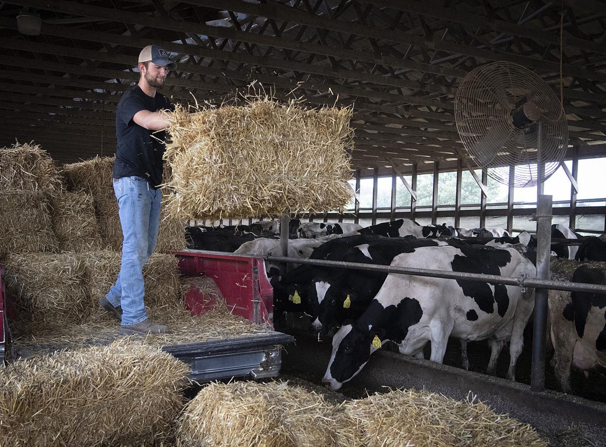 As Dairy Farms Continue To Struggle The Next Generation Readies To Take On Challenges Agriculture Fredericknewspost Com