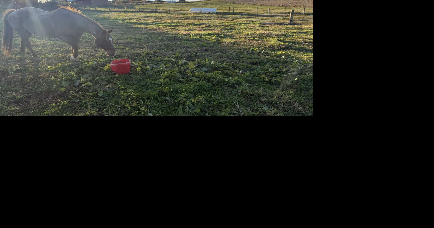 In Maryland’s quest for energy, farmers see their land being stripped away