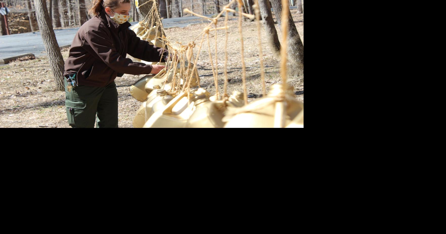Sweet steps Cunningham Falls State Park offers interpretative hike