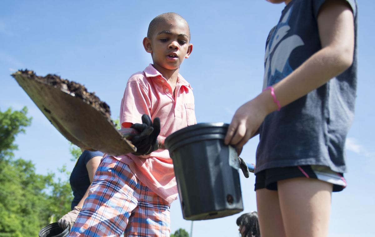 Elementary schools master gardeners Environment
