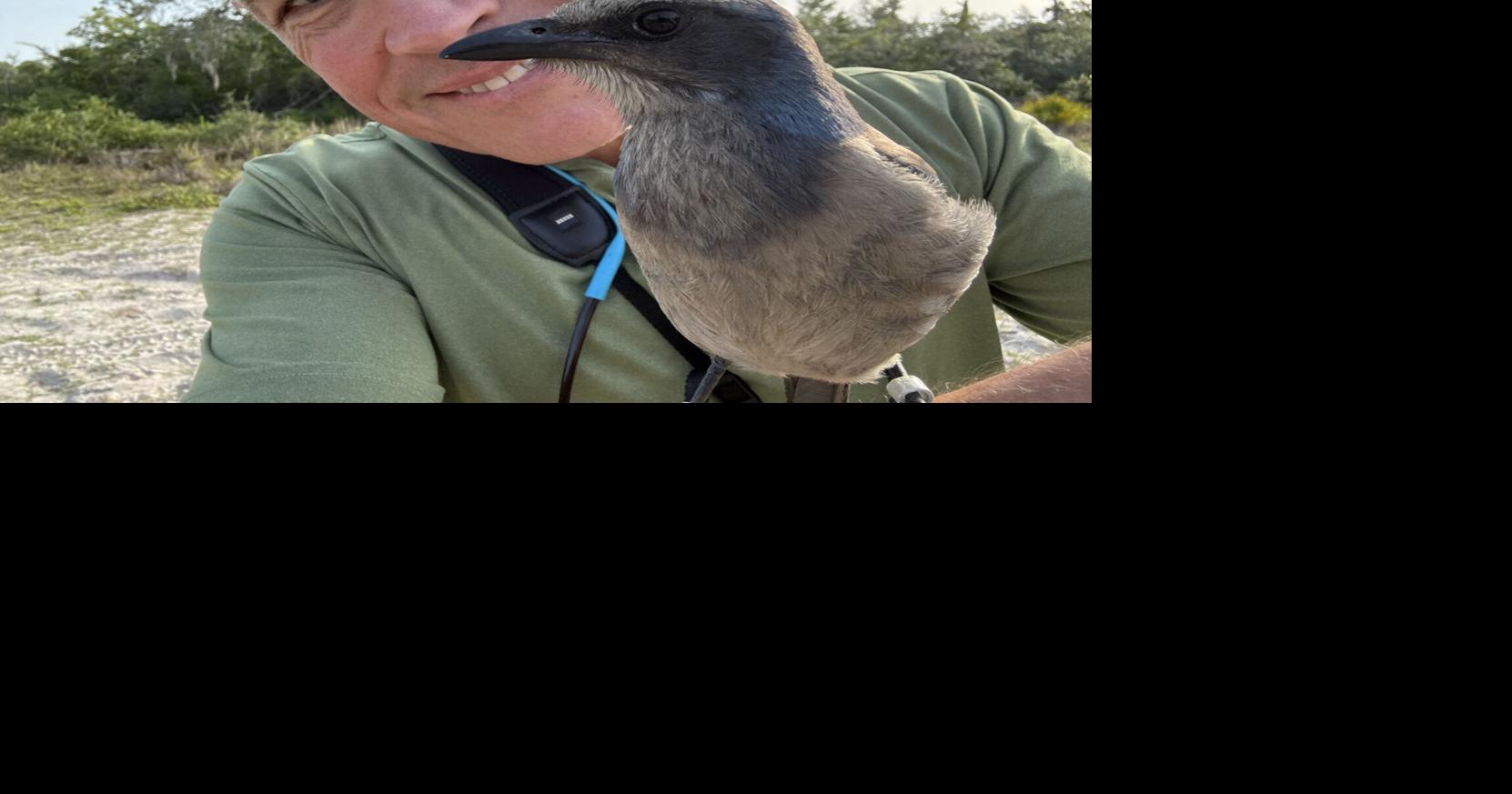 Jeff Corwin on television fame and drinking polar bear milk