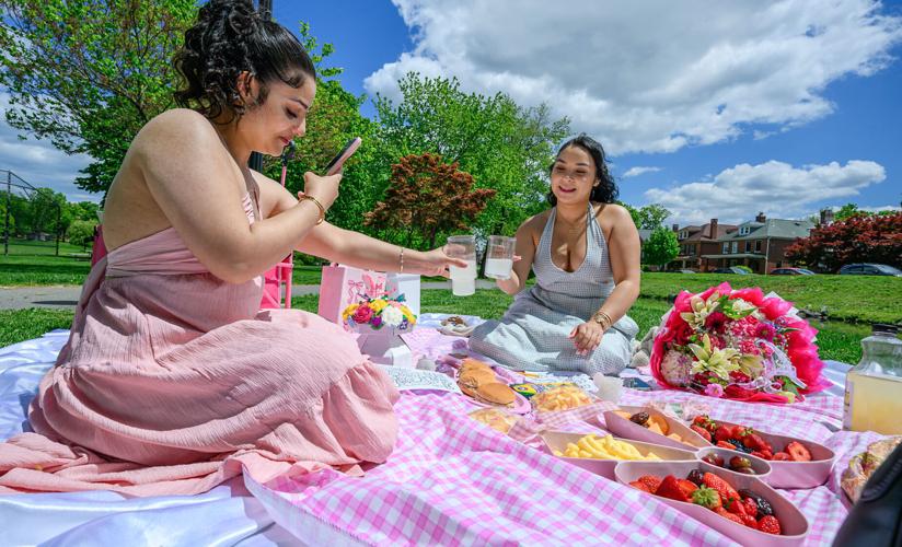 Stand Alone-Birthday Picnic