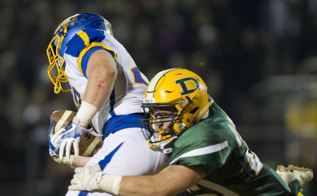Lions Pride Shines Despite Stinging Loss To Hornets High School