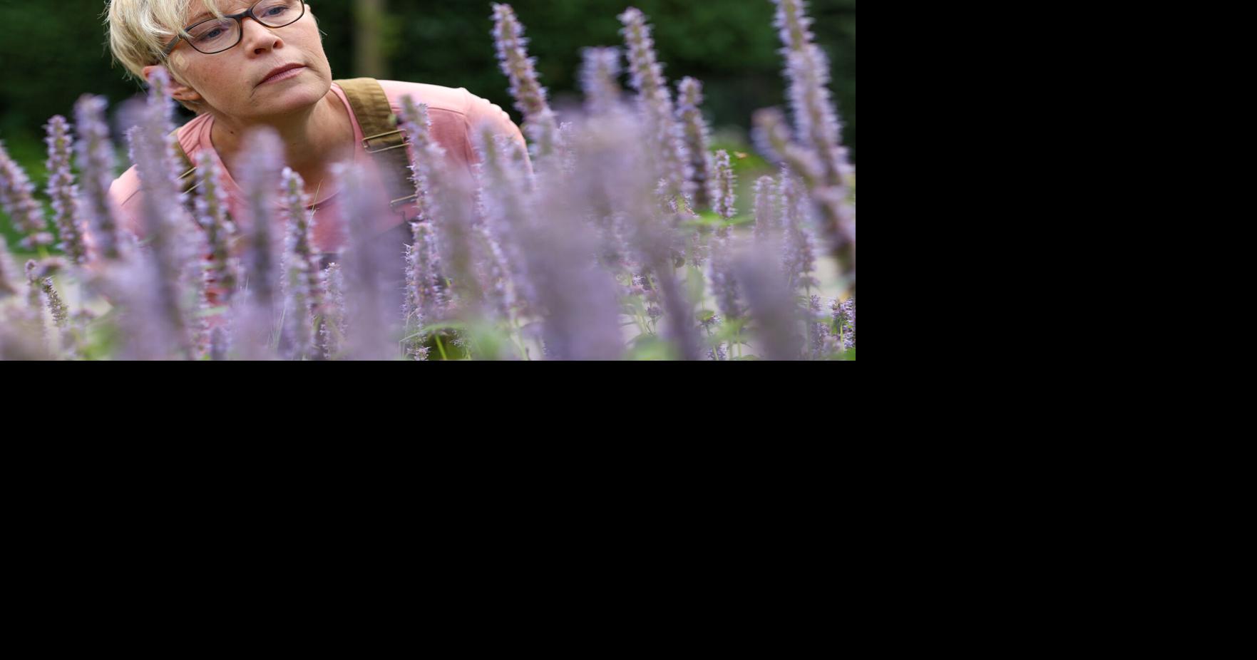 Gaining ground: Native plants surge as gardeners try to save bees, butterflies