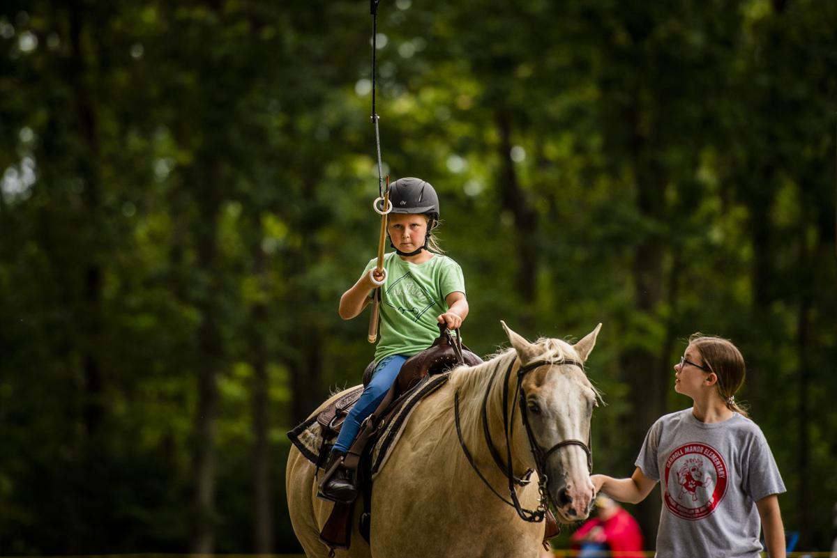 100th Petersville Farmers Club Joust
