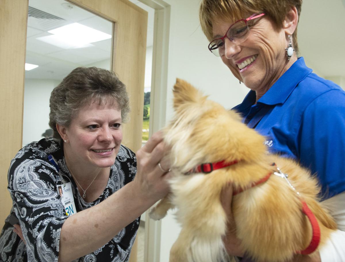 Dogs visit Frederick Memorial Hospital as treat for nurses, staff