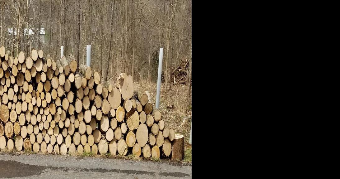 Nature Notes Choosing Firewood Don T Get Burned Travel And Outdoors Fredericknewspost Com