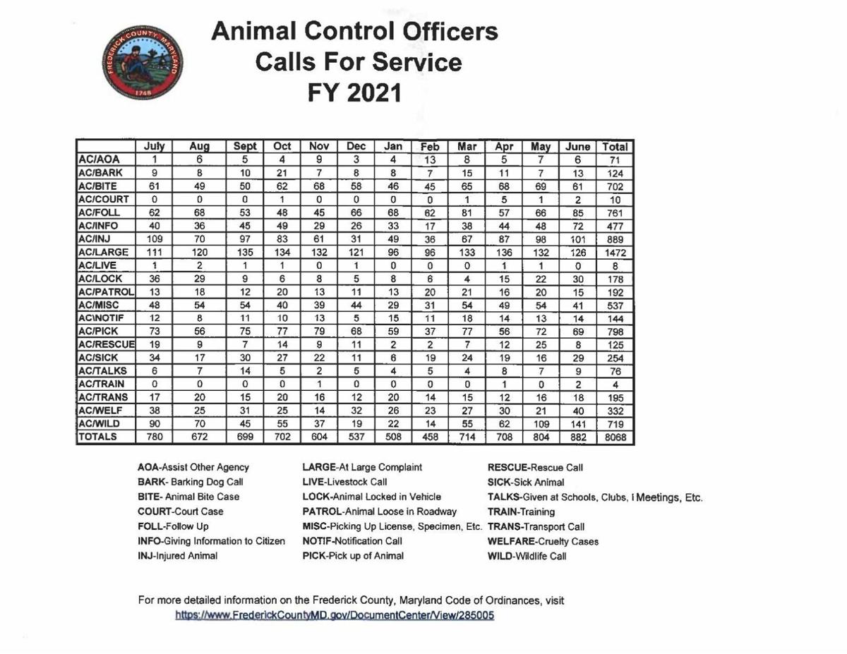 Adoptions on the rise, but not back to prepandemic levels at Frederick