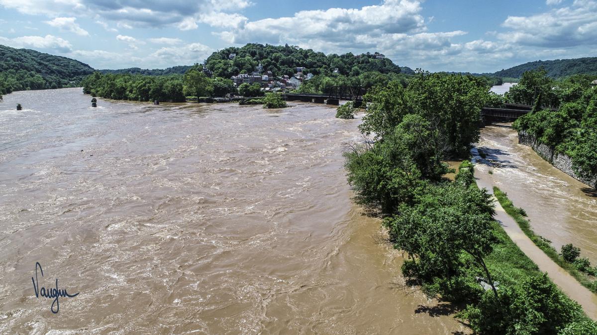 Potomac River water level reaches over 25 feet on Monday Public
