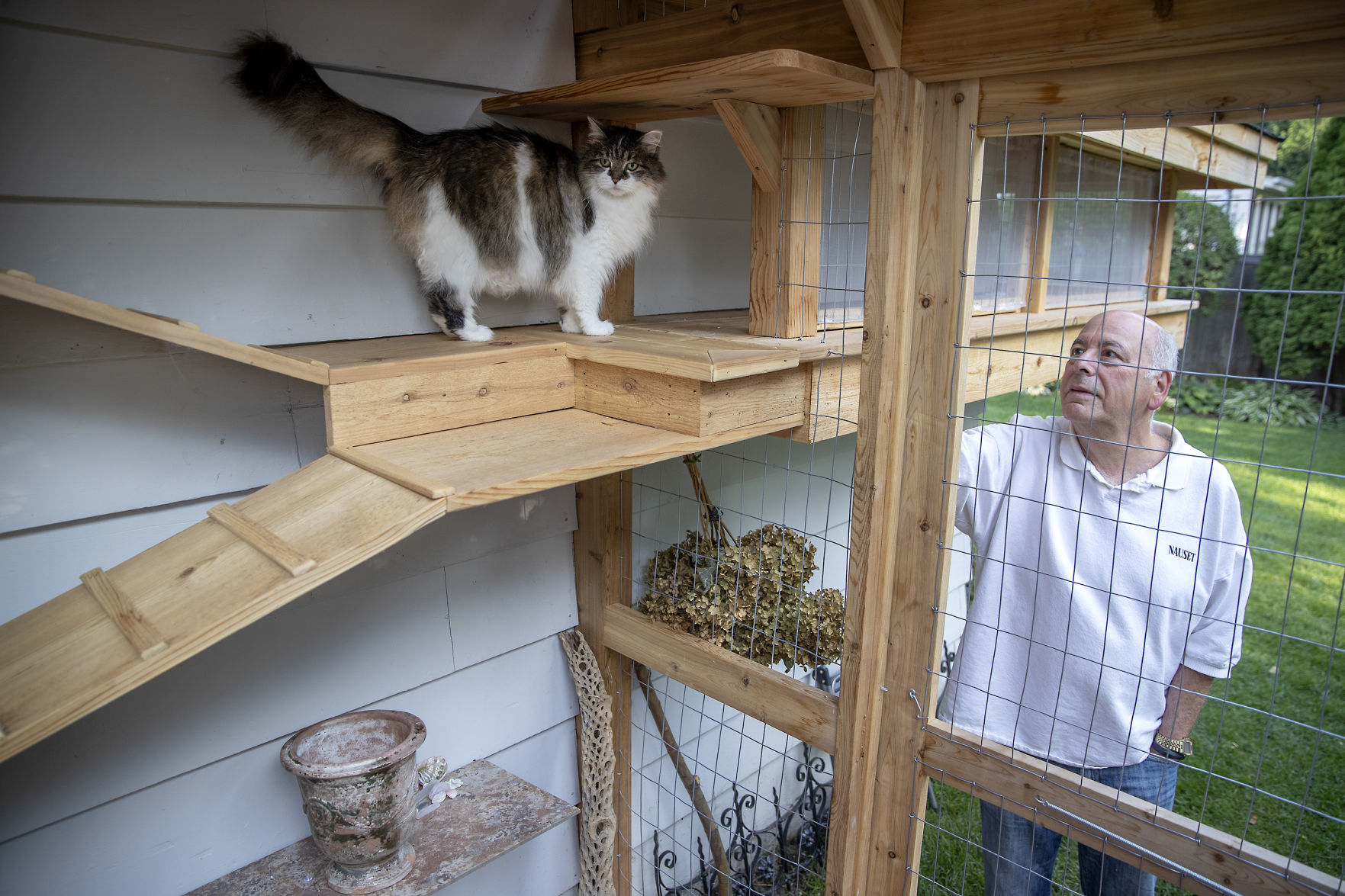 a catio