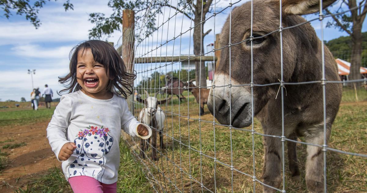 Summers Farm offers fall fun at new Middletown location | Agriculture ...