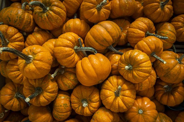 Thanksgiving Farms