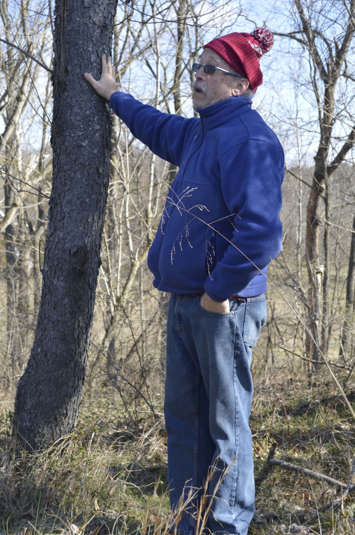 Seeing the forest and the trees: Identify trees by the bark