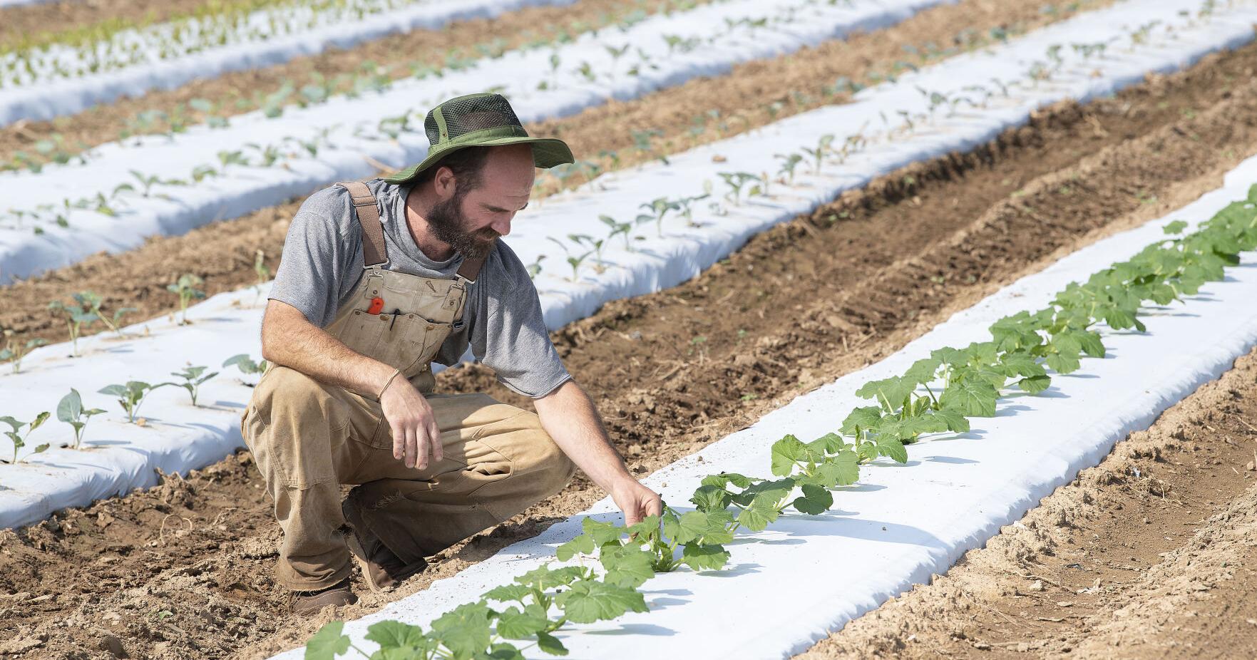 Frederick County farmers try to adapt as climate change intensifies - Vimarsana News