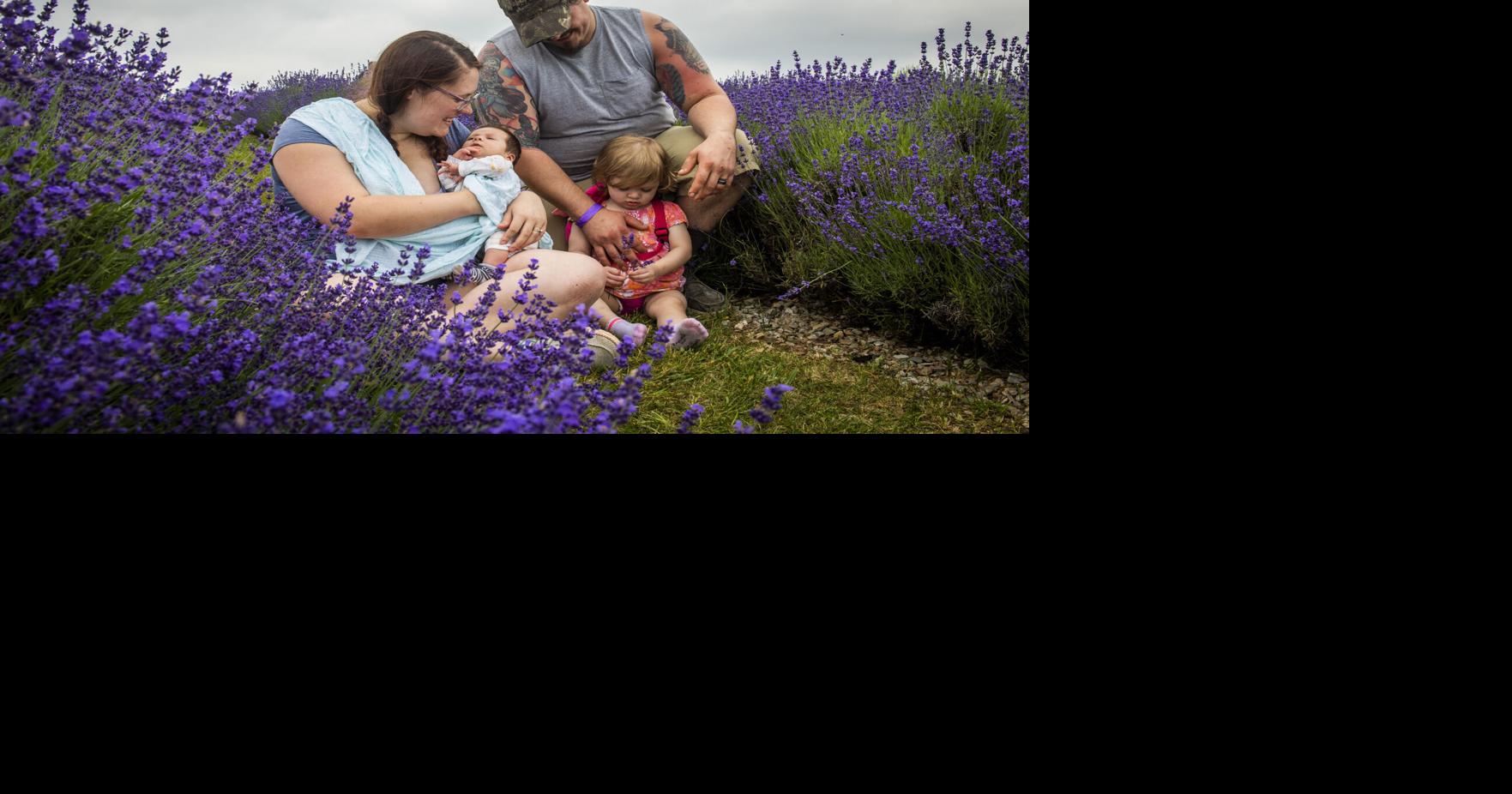 Thousands attend lavender festival at Thurmont farm Economy
