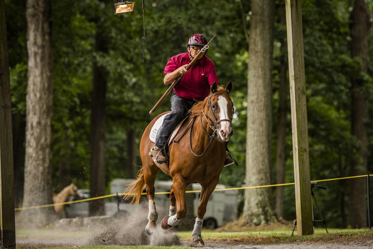 100th Petersville Farmers Club Joust