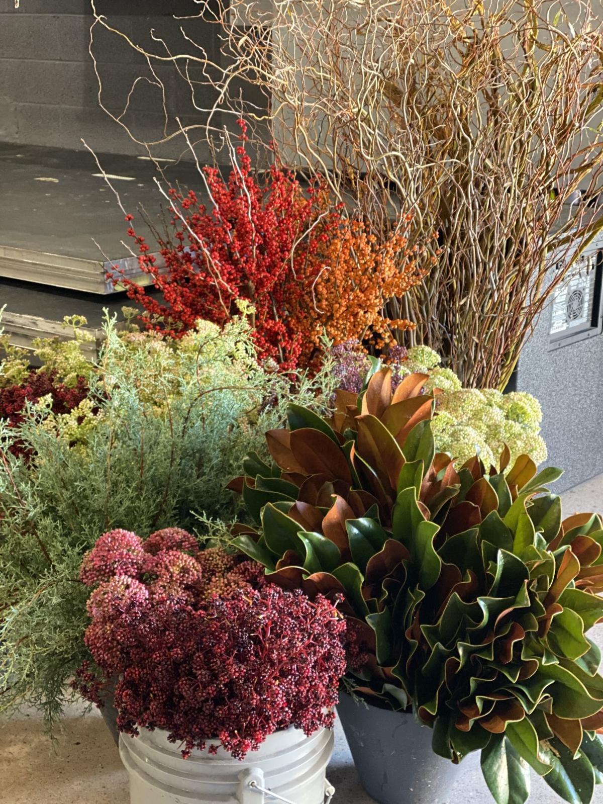 Container Gardening By Subscription Home And Garden