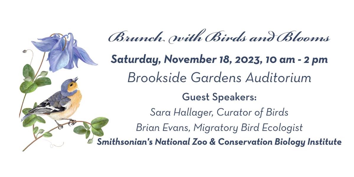 Brunch with Birds and Blooms Other