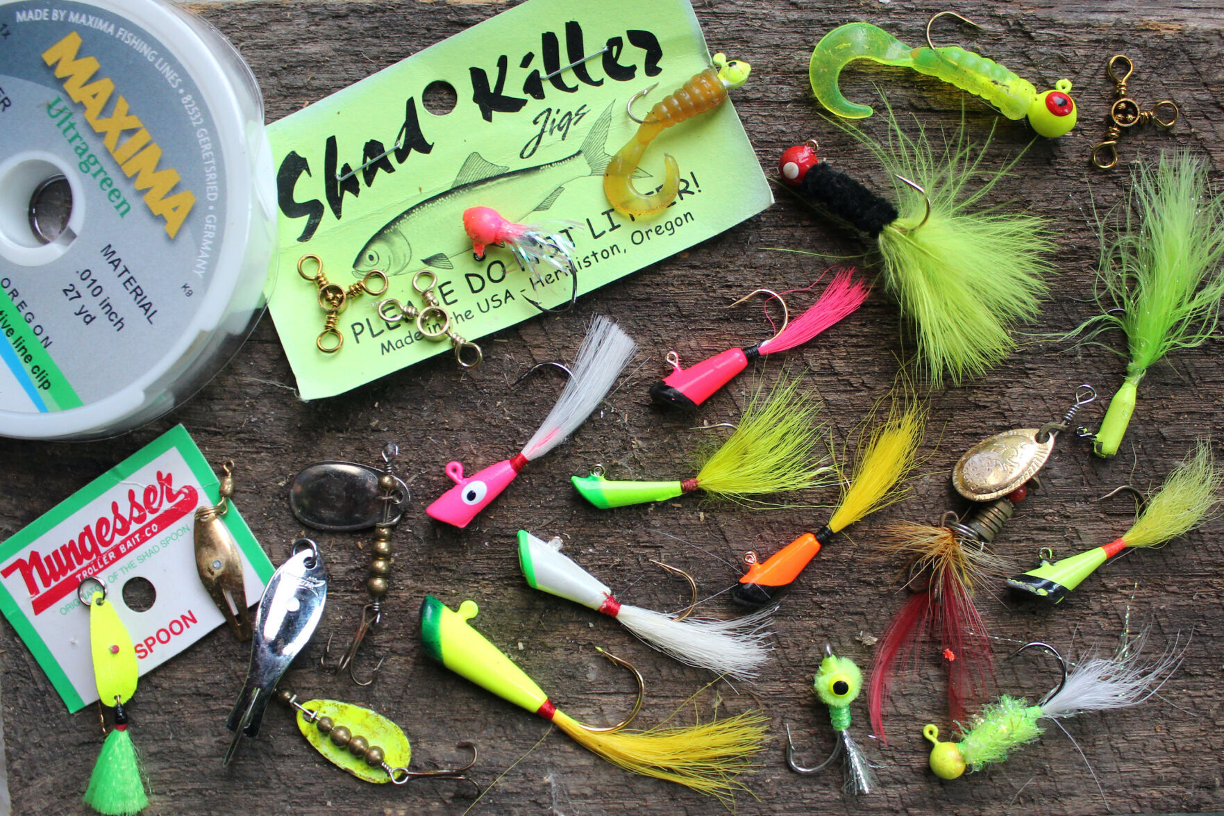 Today's Sportsman: A shad fishing primer | Frederick County