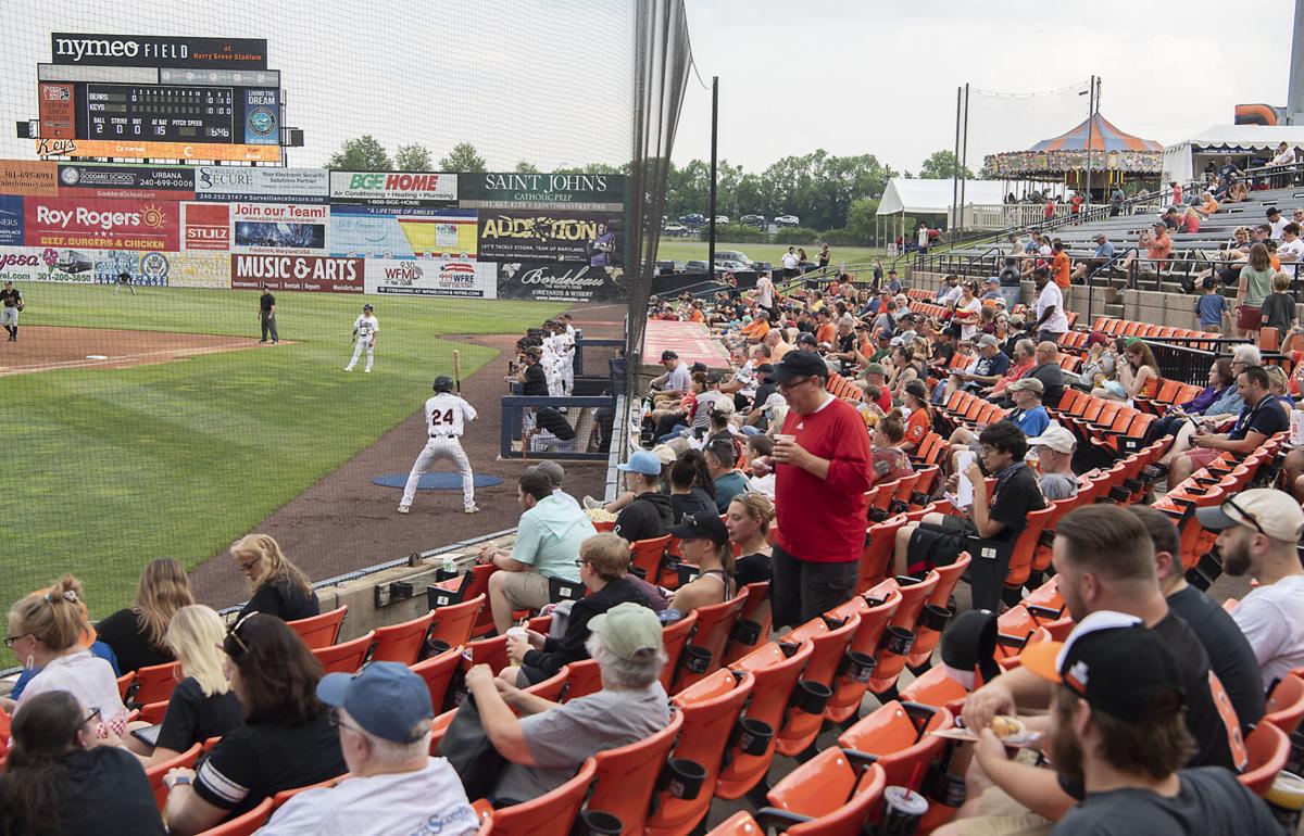 Photos: Frederick Atlantic League Baseball Team Practice, Baseball