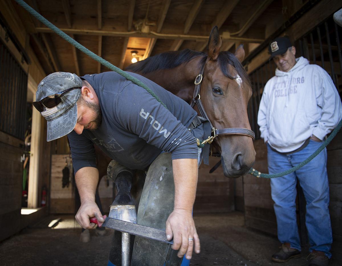 A real shooin Local farrier endures tough job to ensure horses can