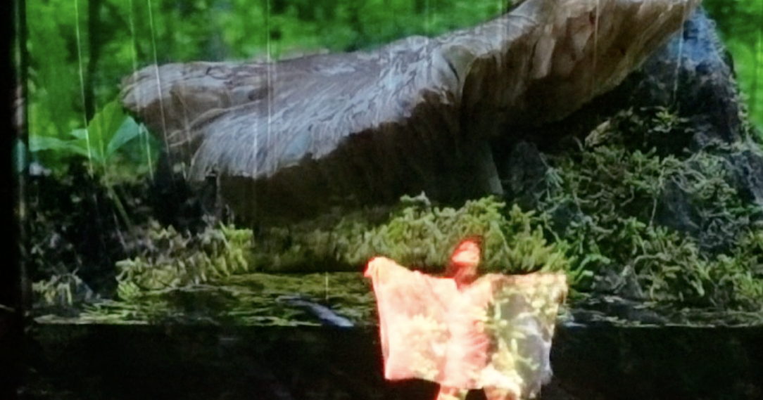 MAD Dance to explore nature, connection in ‘Re-Leaf Agency’