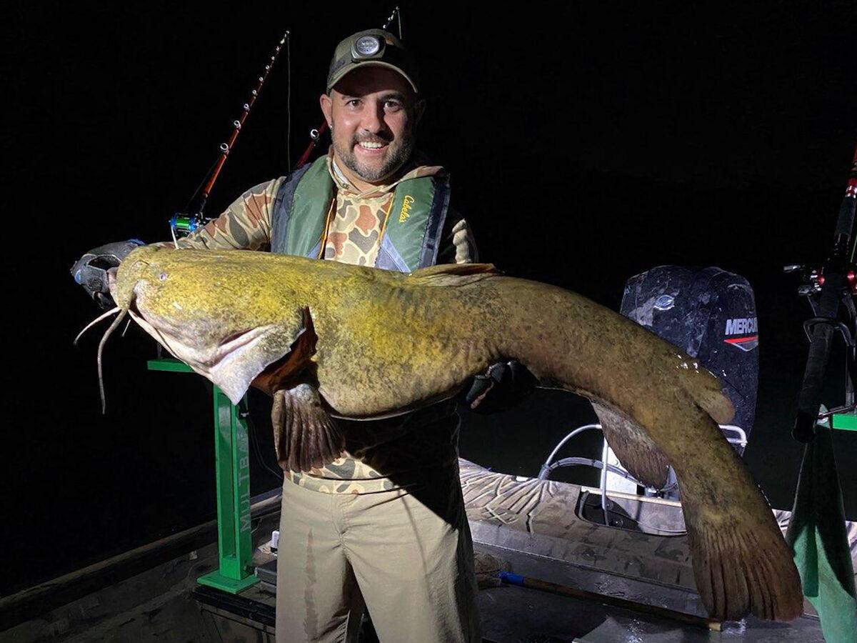 Today's Sportsman: Flathead catfish numbers have increased