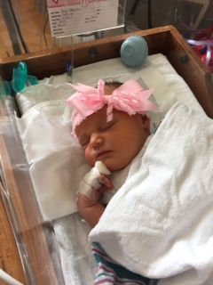 Genevieve Lane Stup