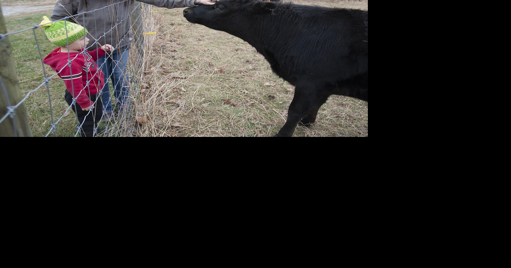 Frederick's Farms: Living the dream: Generations gather on ...