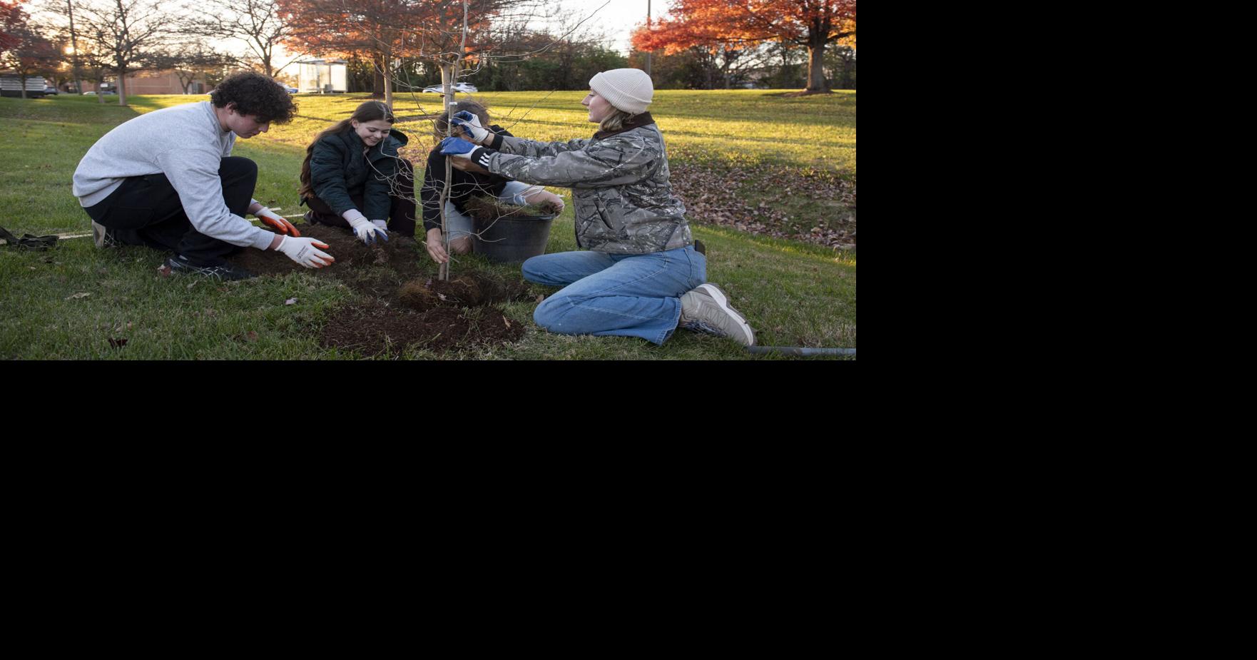 Program prioritizes increasing Frederick tree canopy, training youth ...