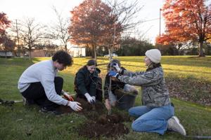 Program prioritizes increasing Frederick tree canopy, training youth