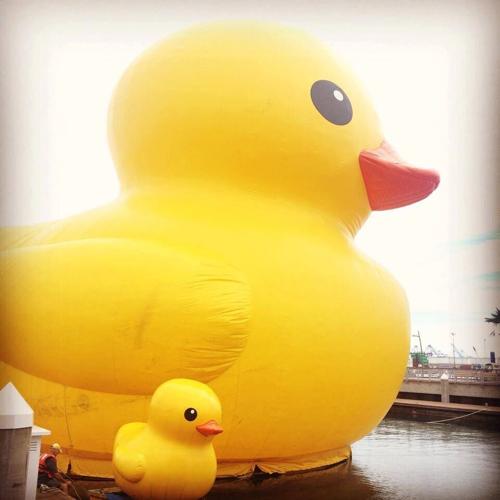 LA port welcomes massive rubber duck