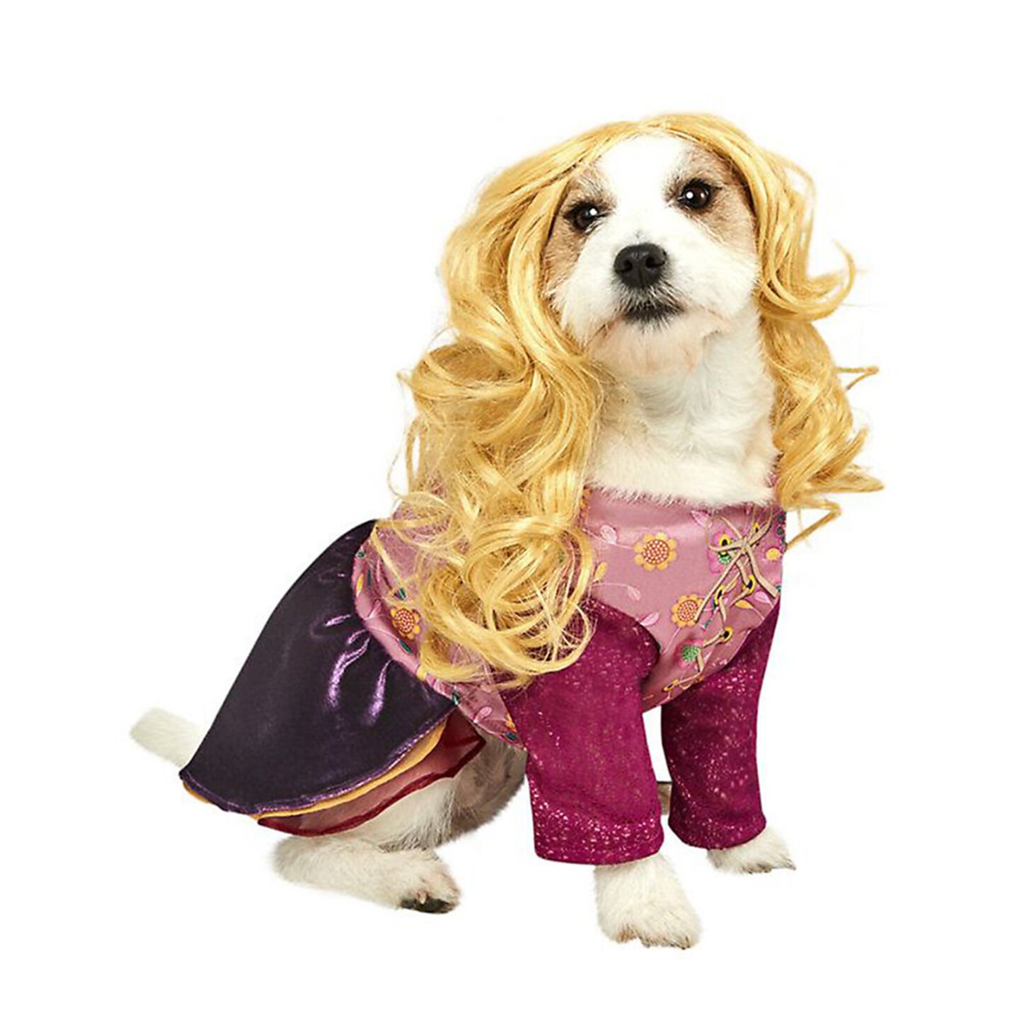 Princess belle hotsell dog costume