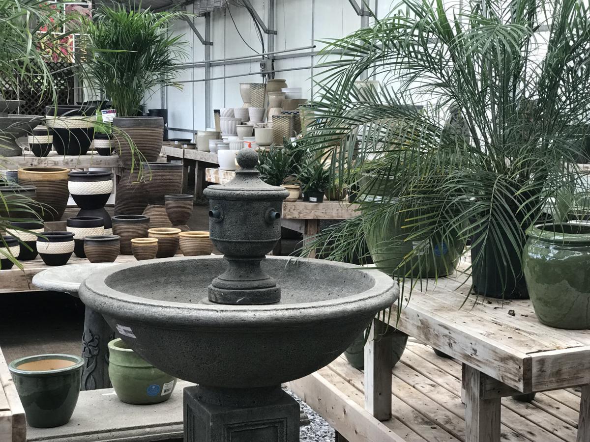 Native Exotic Or Just Plain Fabulous Stadler Nurseries Offers Help With The Toughest Planting Jobs Ap Fredericknewspost Stadler Nurseries Offers Help With The