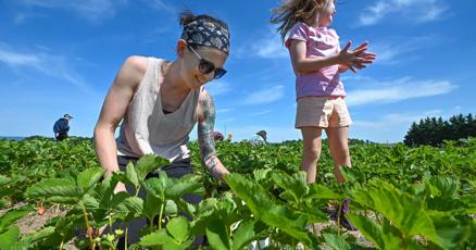 Children learn about farming, healthy eating through new program
