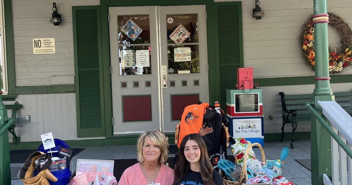 Blue Ridge Summit Library Silent Auction Fundraiser | Other ...